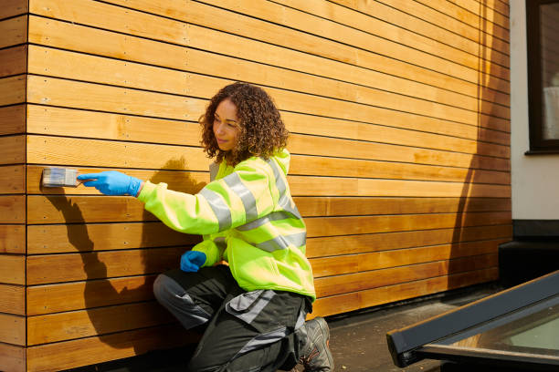 Best Insulated Siding Installation  in North St Paul, MN