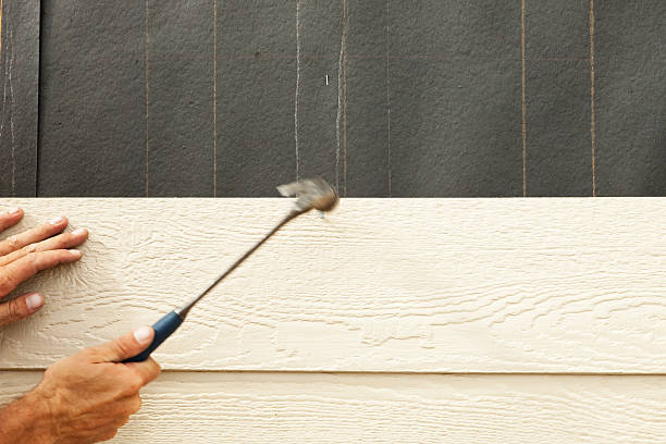 Affordable Siding Repair and Maintenance Services in North St Paul, MN